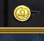 Button Detail